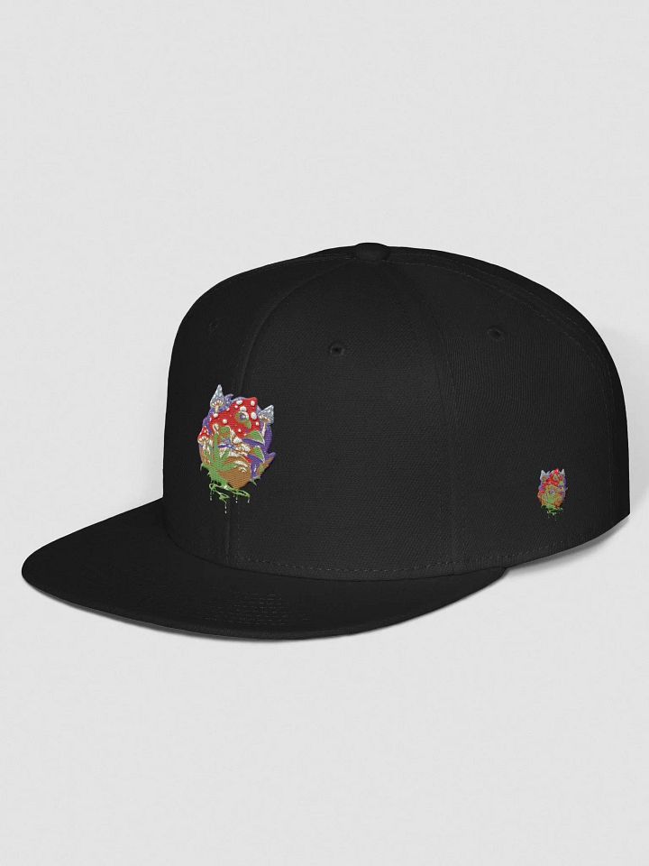 BizzWorld Drip snapback collection product image (18)