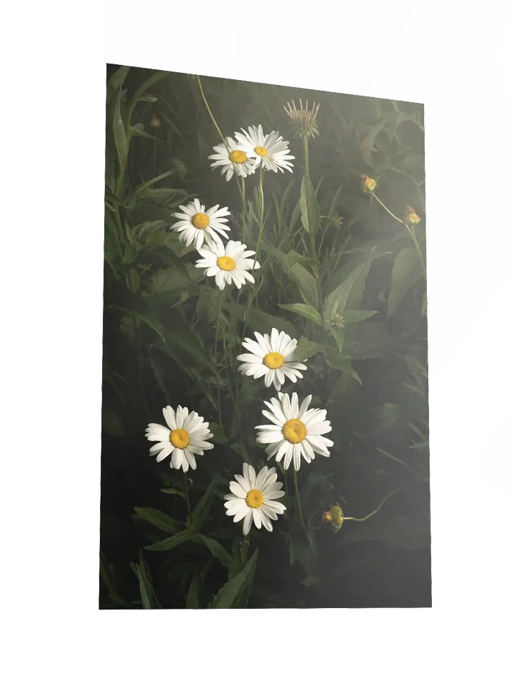 Cascading White Daisies product image (2)