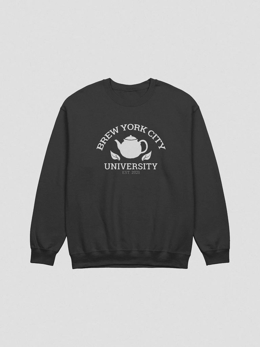 Brew York City University Sweater product image (1)