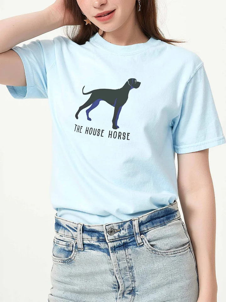 The House Horse T-Shirt(Embroidered) of a Great Dane(Black) product image (2)