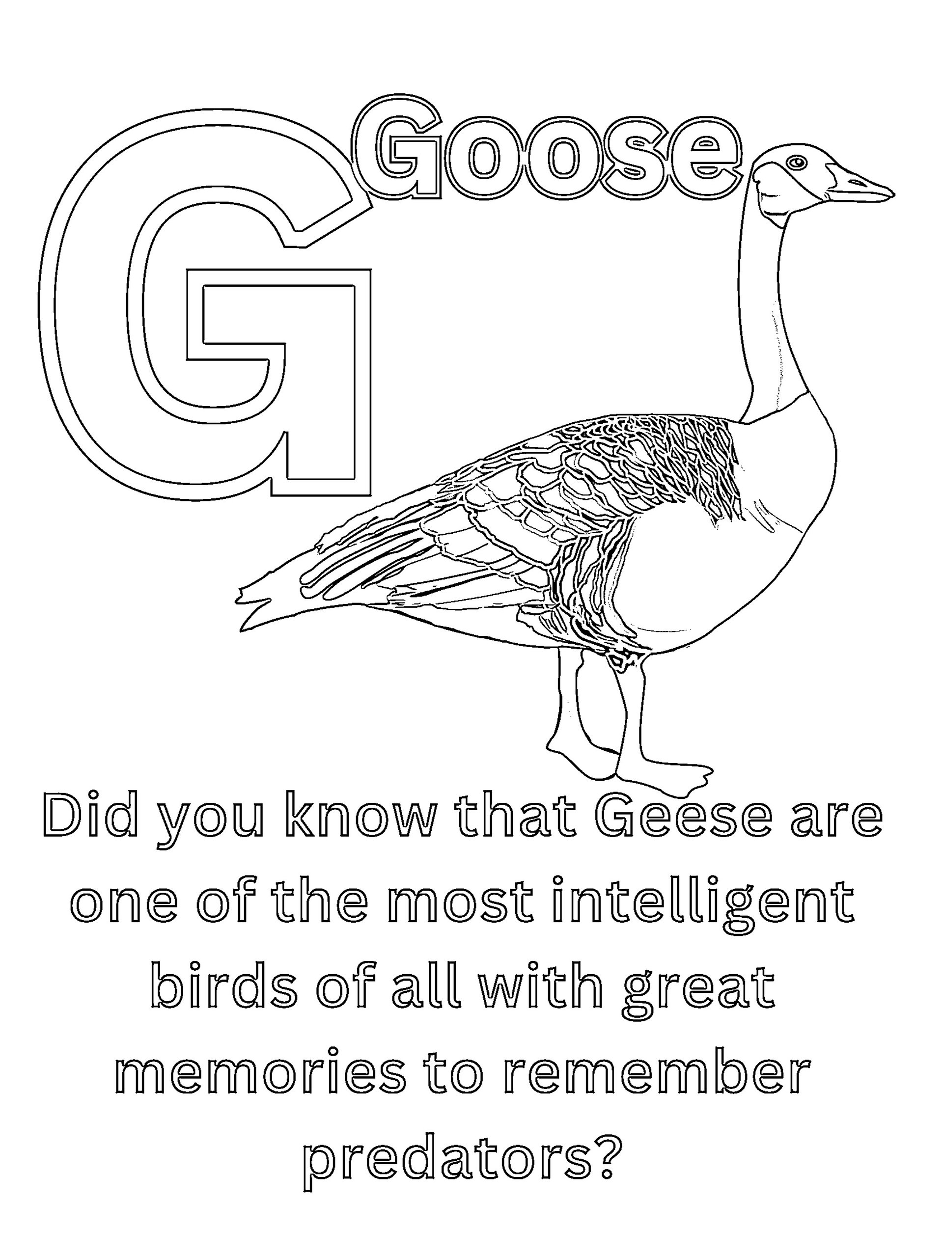 Cool Animal Facts ABCs Coloring Book: Animal Names and Information for Preschoolers and Kindergarten Children product image (4)