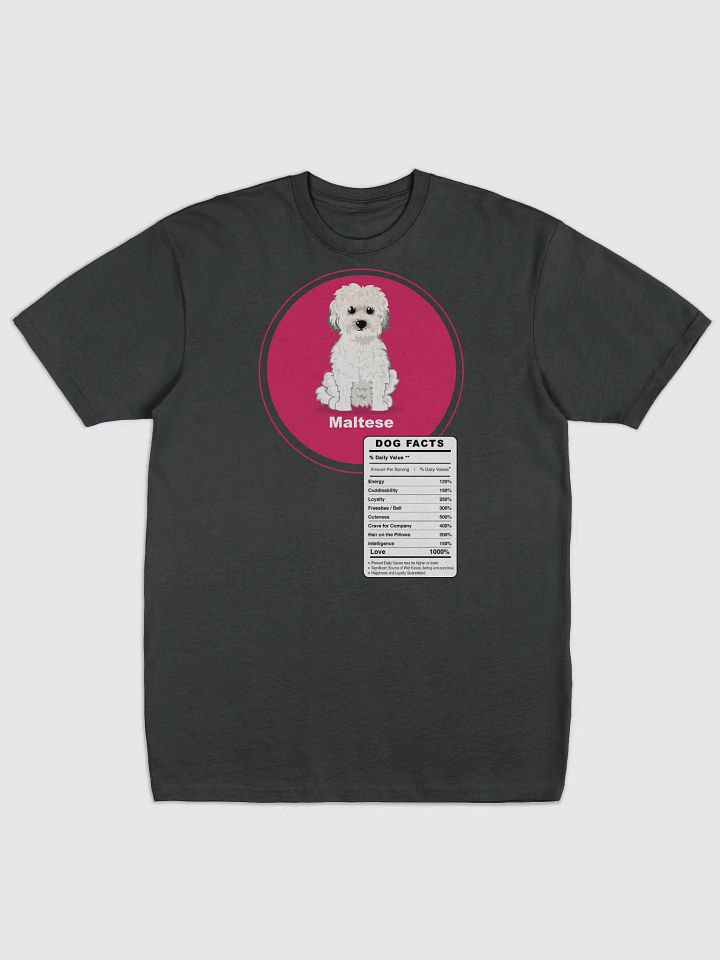 Maltese Dog breed adorable Facts product image (1)
