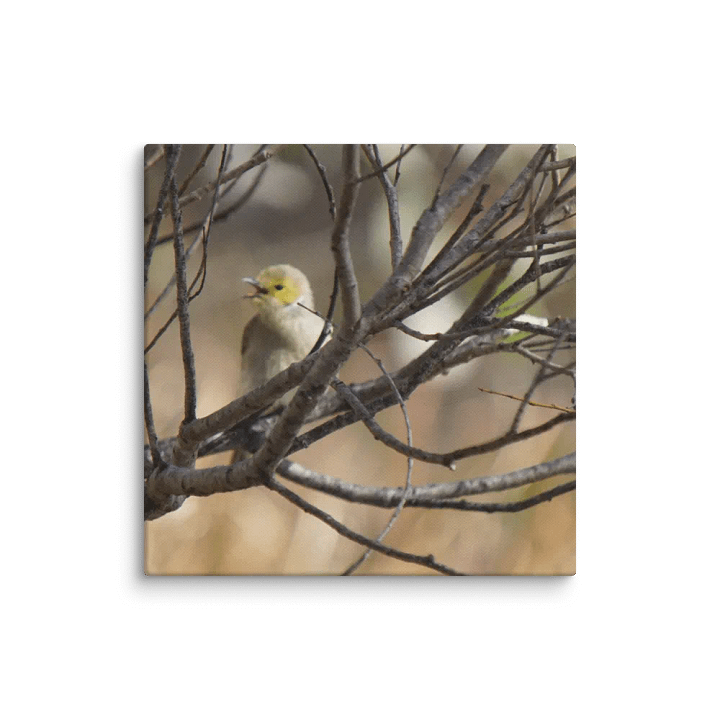Bird Canvas product image (2)