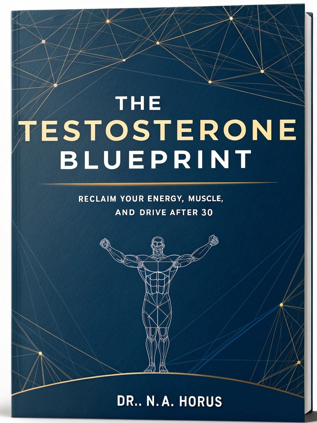 The Testosterone Blueprint: Reclaim Your Energy, Muscle, and Drive After 30 product image (1)