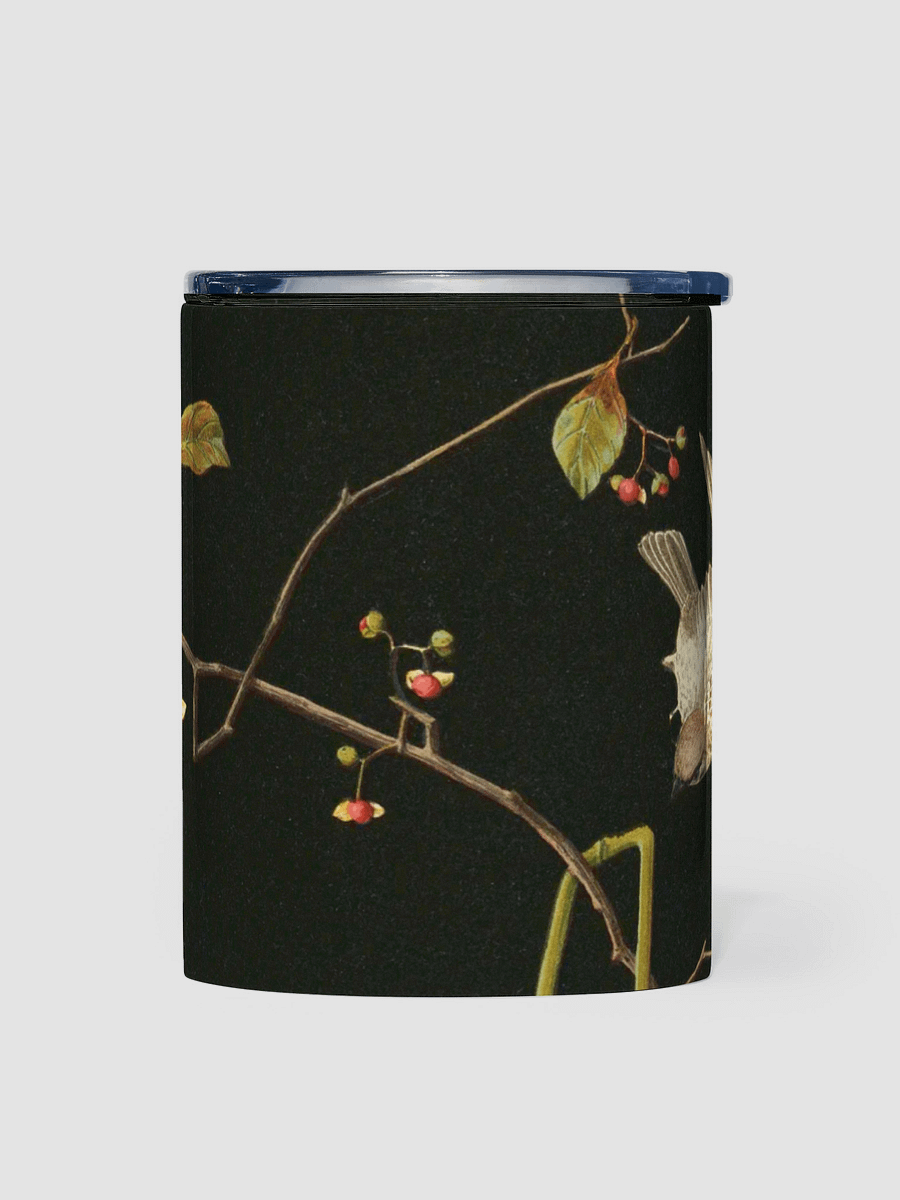 Still Life. 10oz. Stainless Steel Tumbler product image (1)