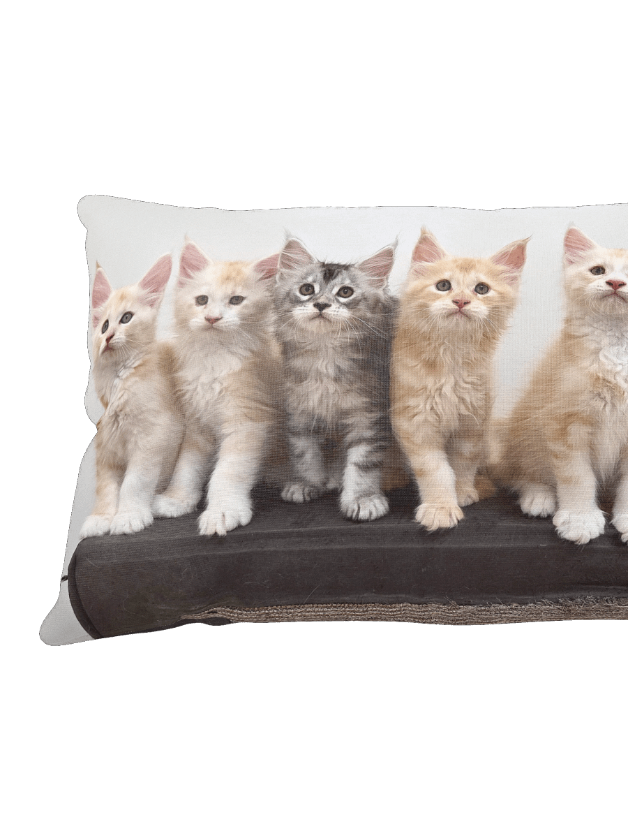 Freya's Kittens - Pillow product image (4)