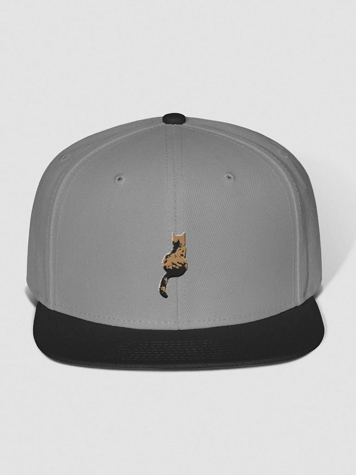 Cat Scoliosis Colored Threads Flat Snapback product image (1)