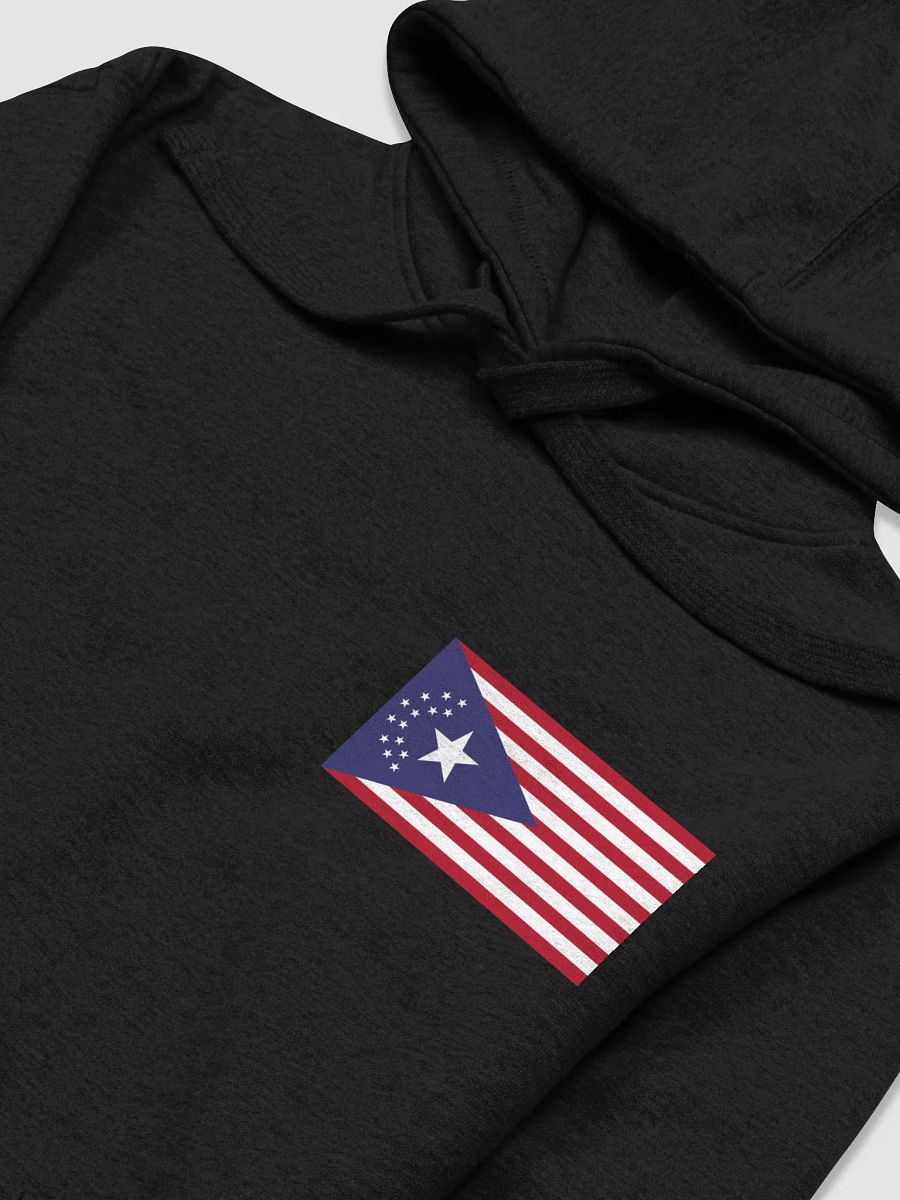 Alex/NUSA Hoodie product image (34)