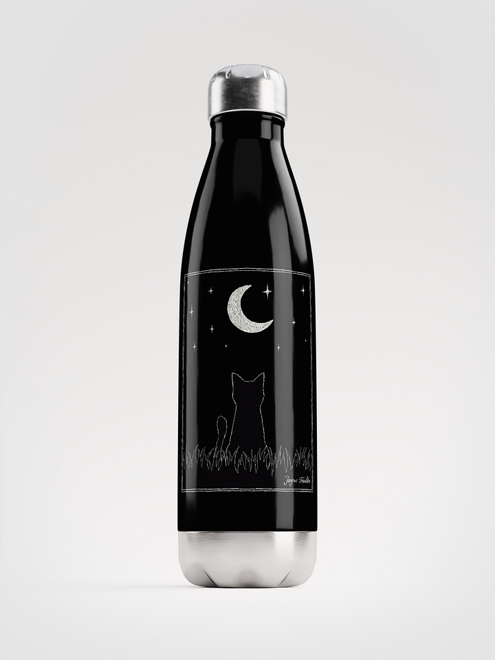 Stargazing Stainless Steel Water Bottle product image (1)