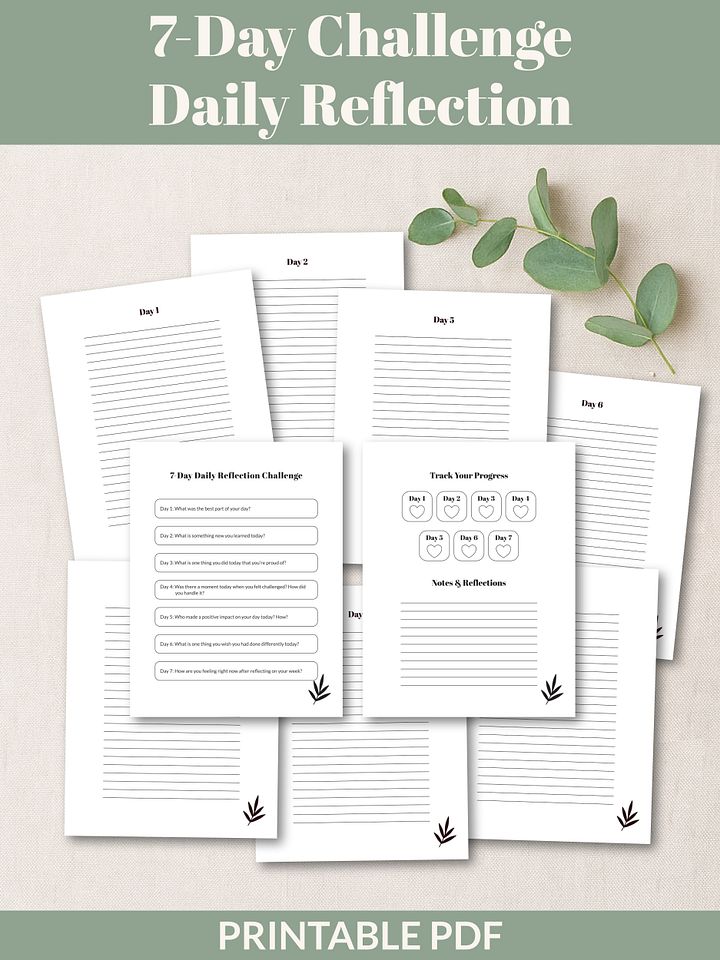 7-Day Daily Reflection Challenge Printable product image (2)
