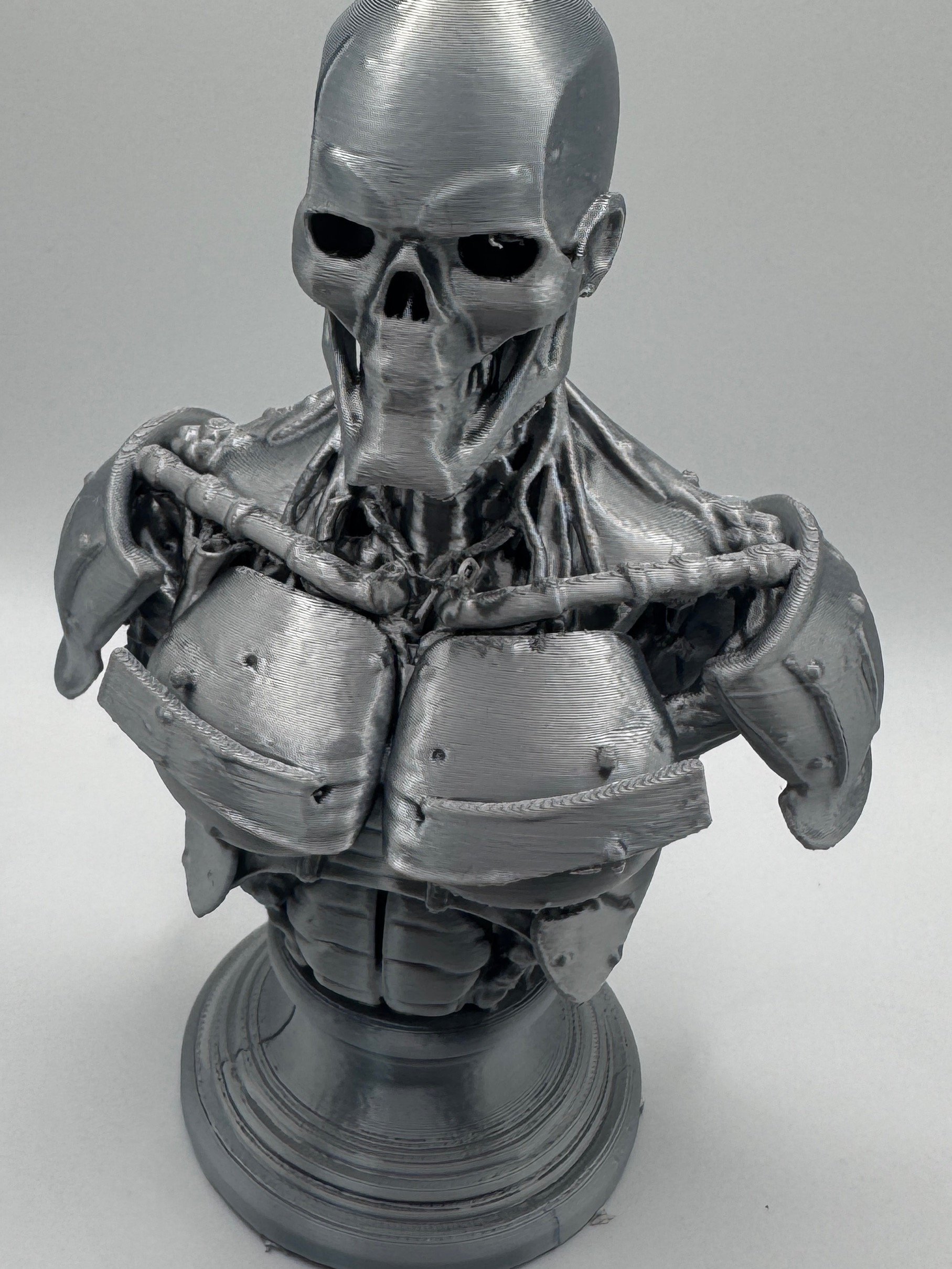 Cyber dude product image (3)