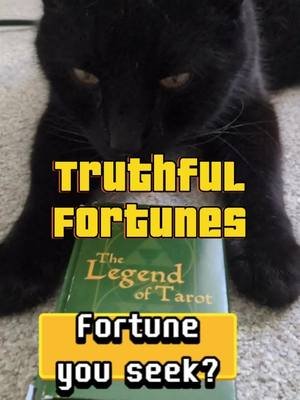 When a cat tells you your fortune... Don't say he didn't warn ya! 😂 #cats #fortune #tarot #comedy #funny #blackcats #zelda #tarotreading #fortuneteller #catsoftiktok #catson