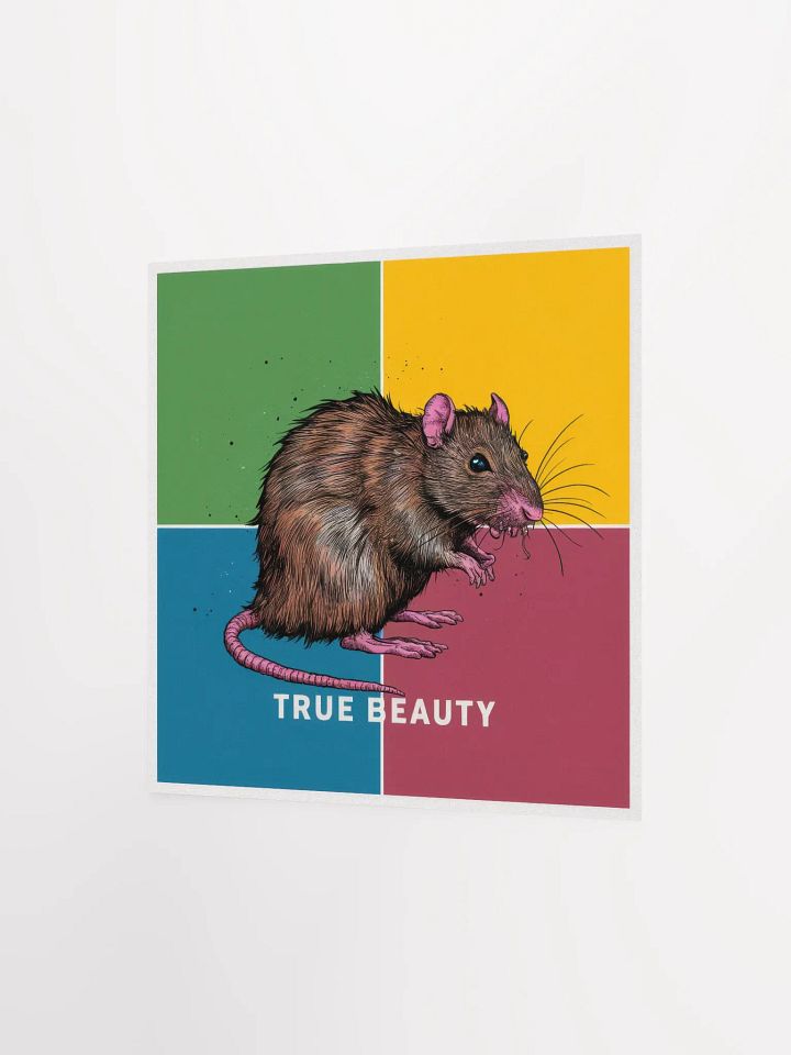 Rat product image (6)