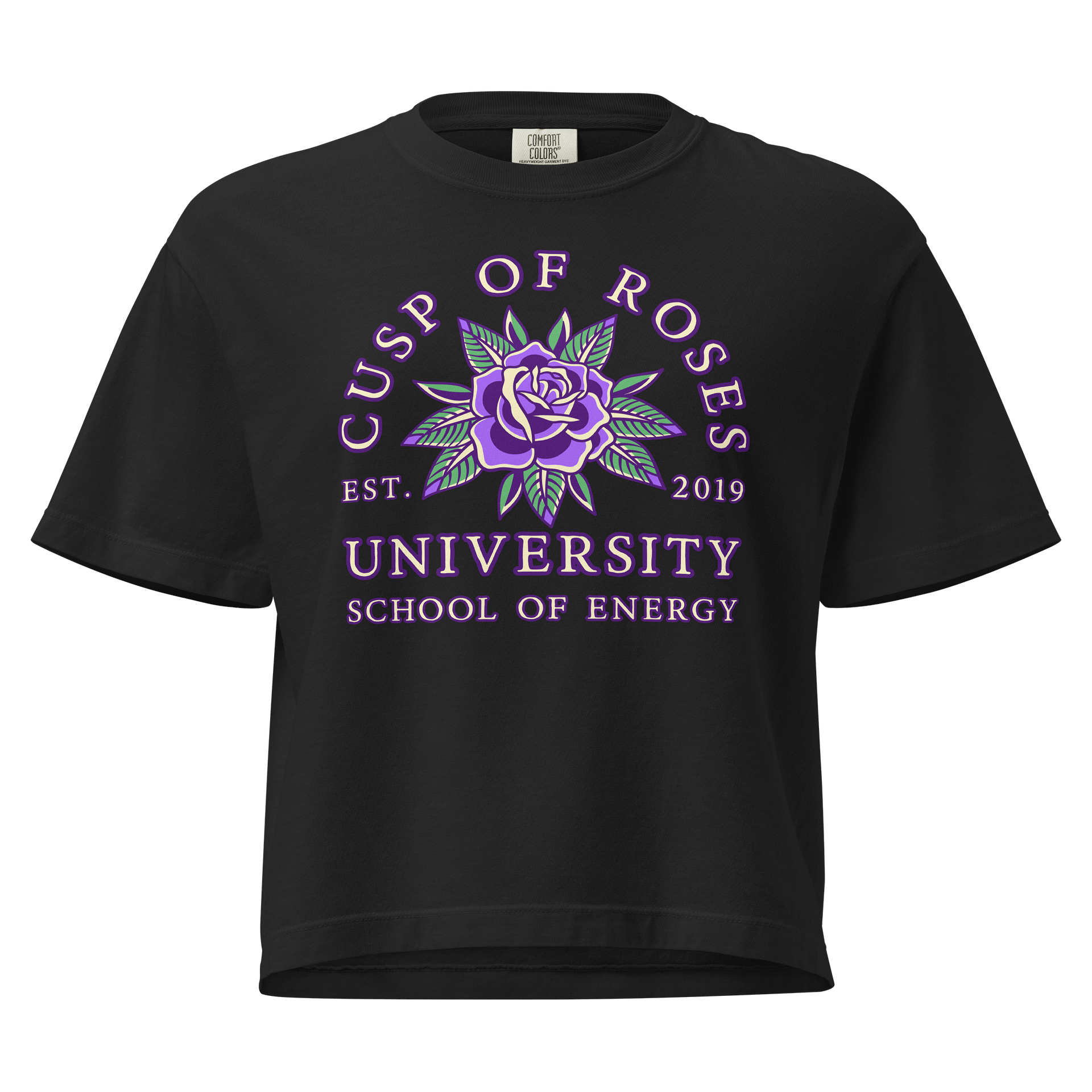 school of energy | crop tee | taurus-gemini cusp product image (1)