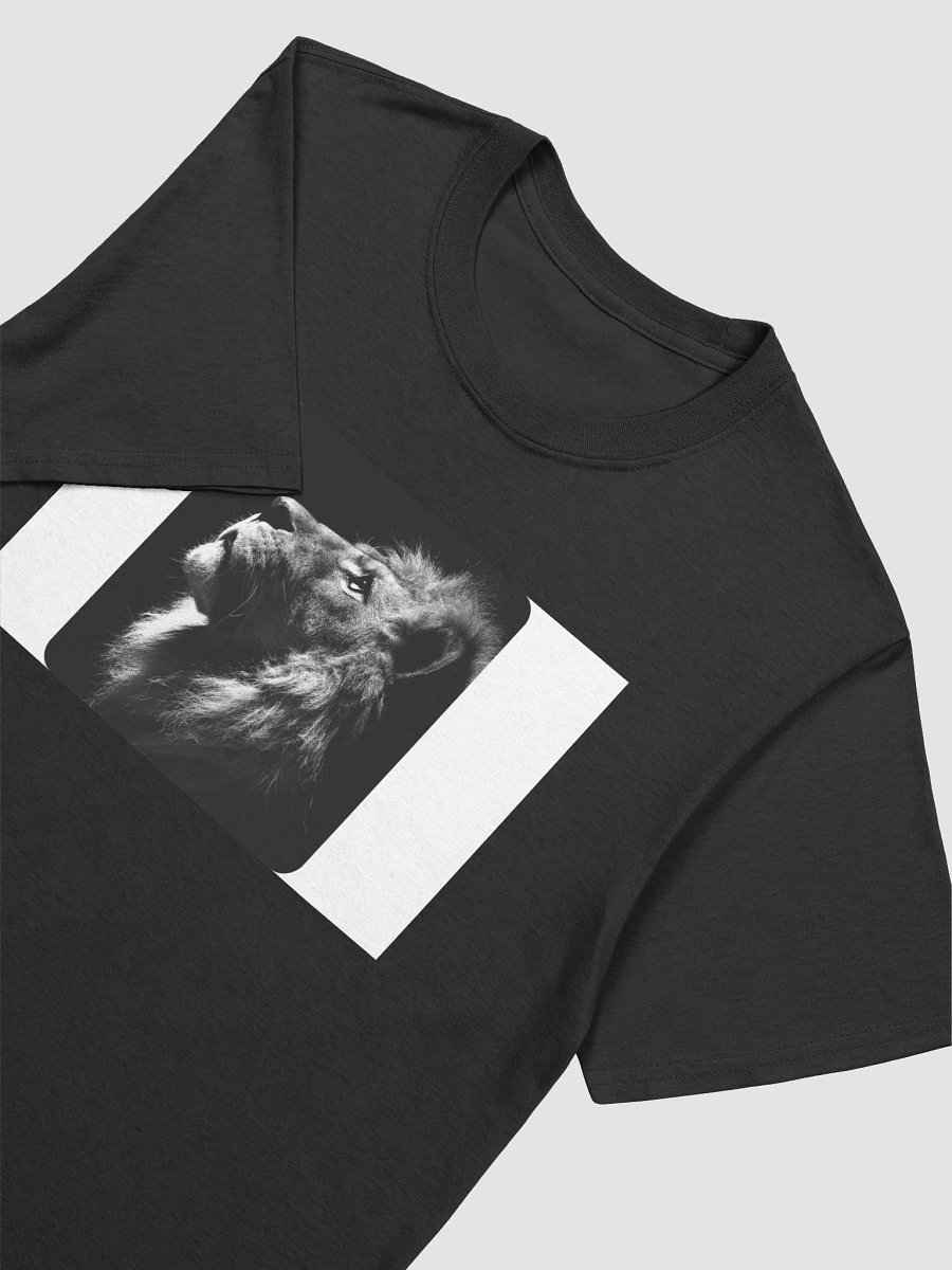 playera de Leon product image (6)