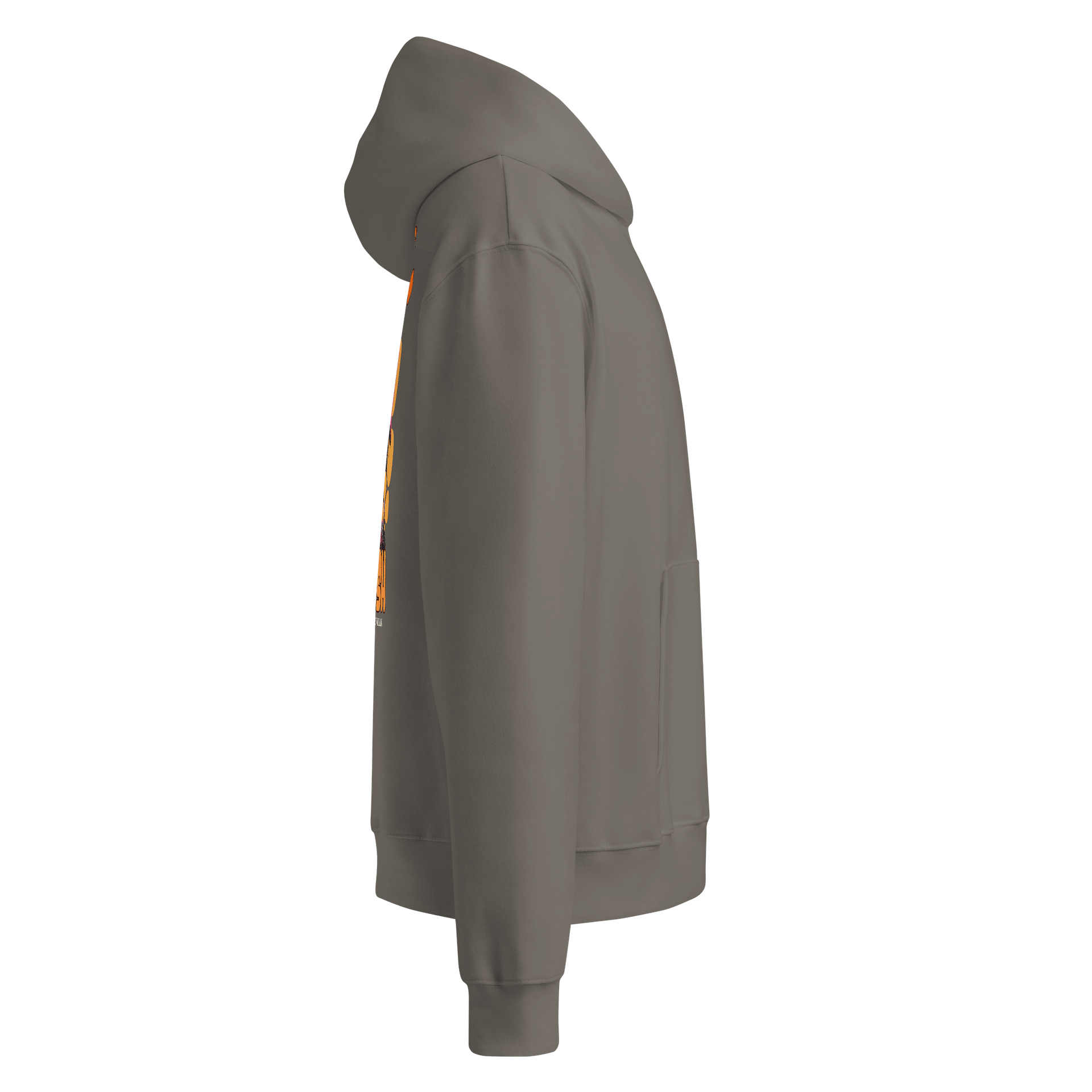 Pawsitive Stylish | Unisex Oversized Hoodie by Bella+Canvas product image (5)