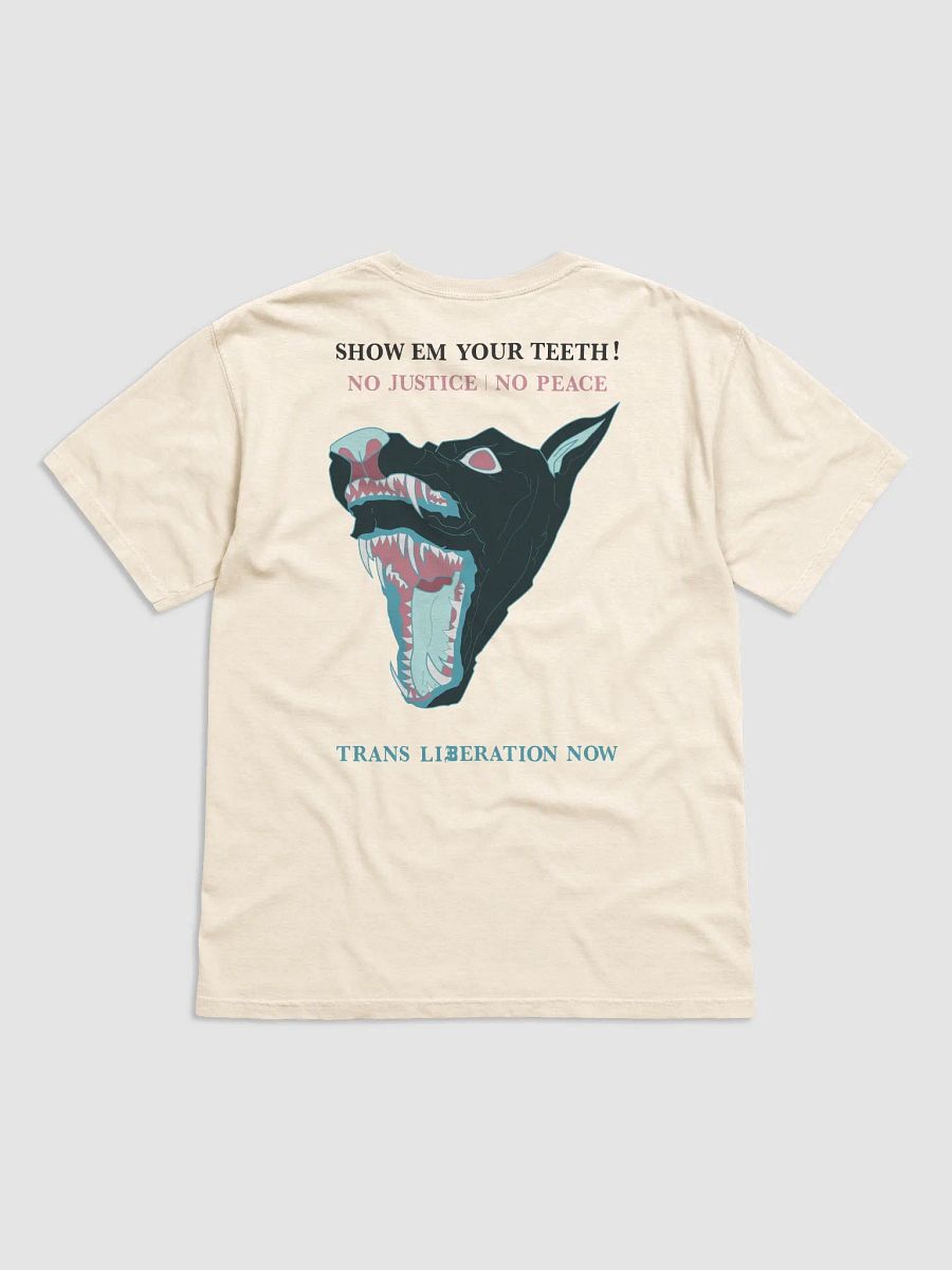 S.E.Y.T. shirt 2 product image (4)