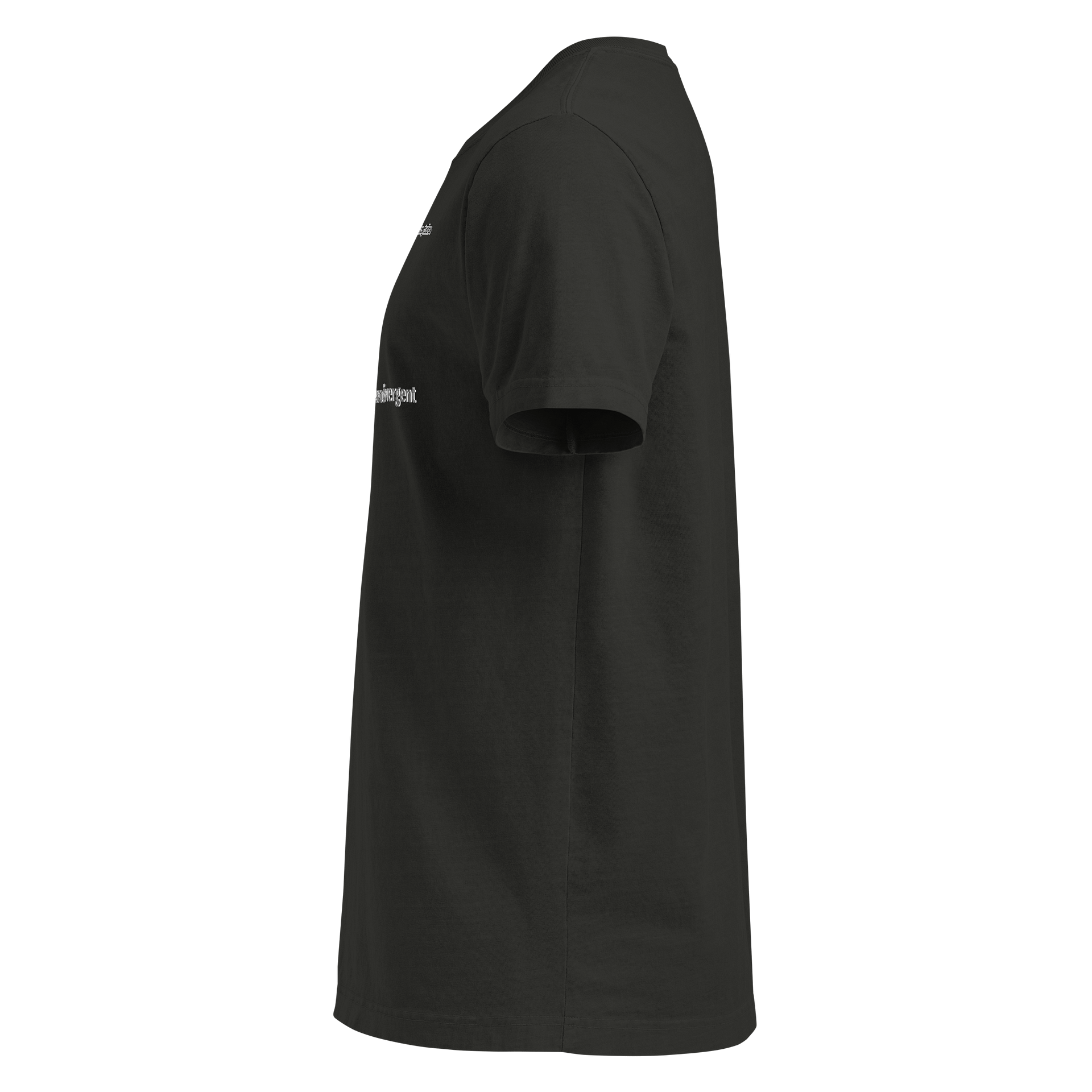 Neurodivergent Stylized Tee product image (3)