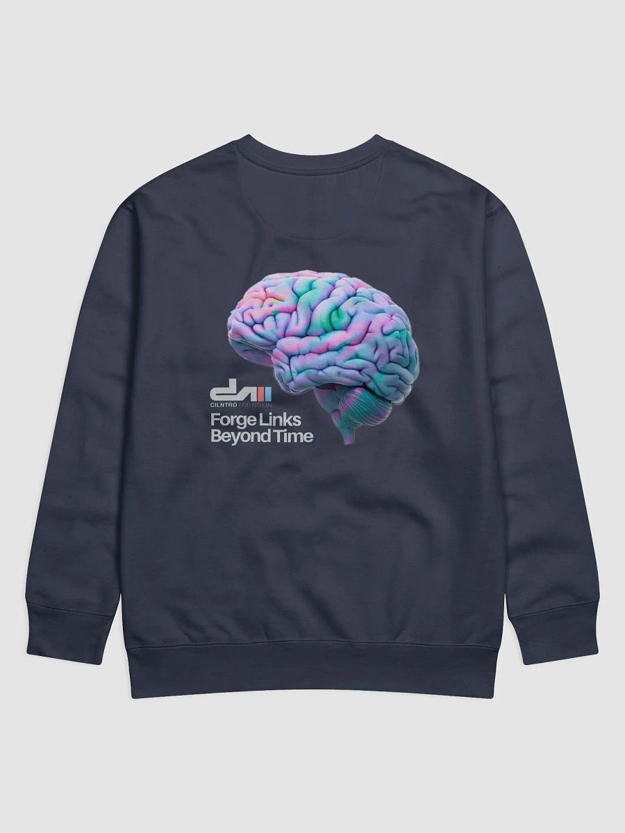 Temporal Connectivity / Premium Sweatshirt product image (2)