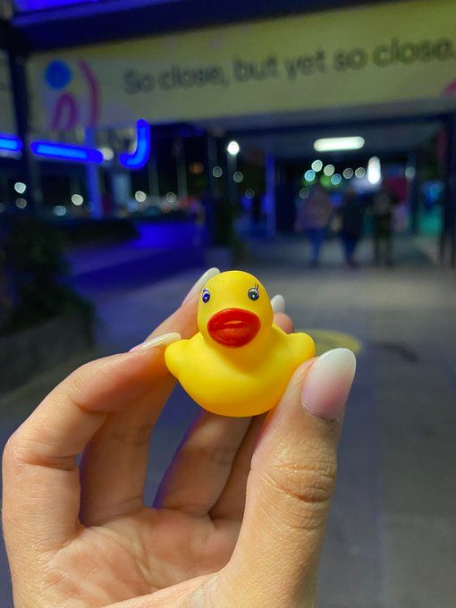 [EXCLUSIVE] Chipstarr Duck