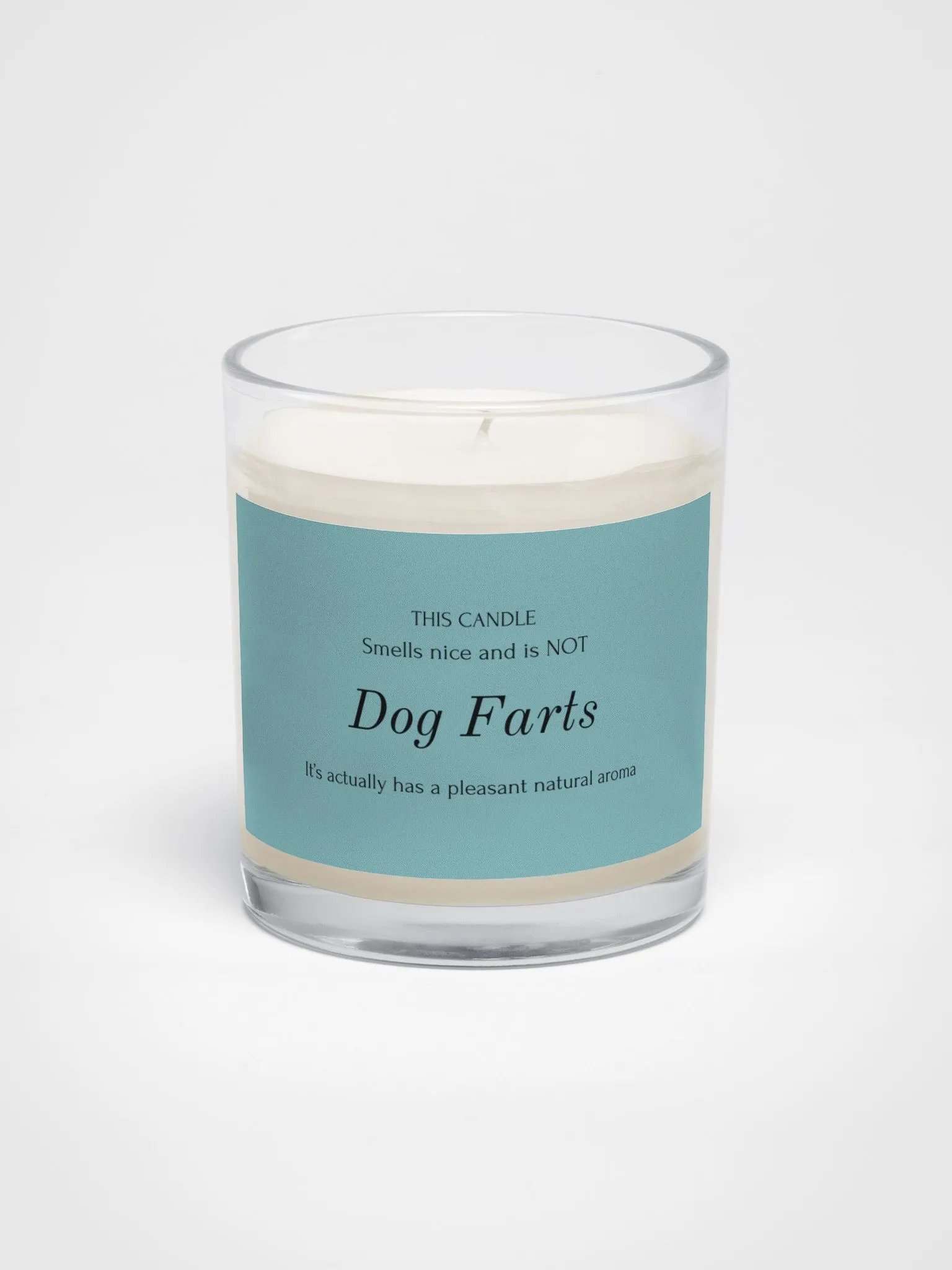 Veterinary humor candle "Dog farts" product image (1)