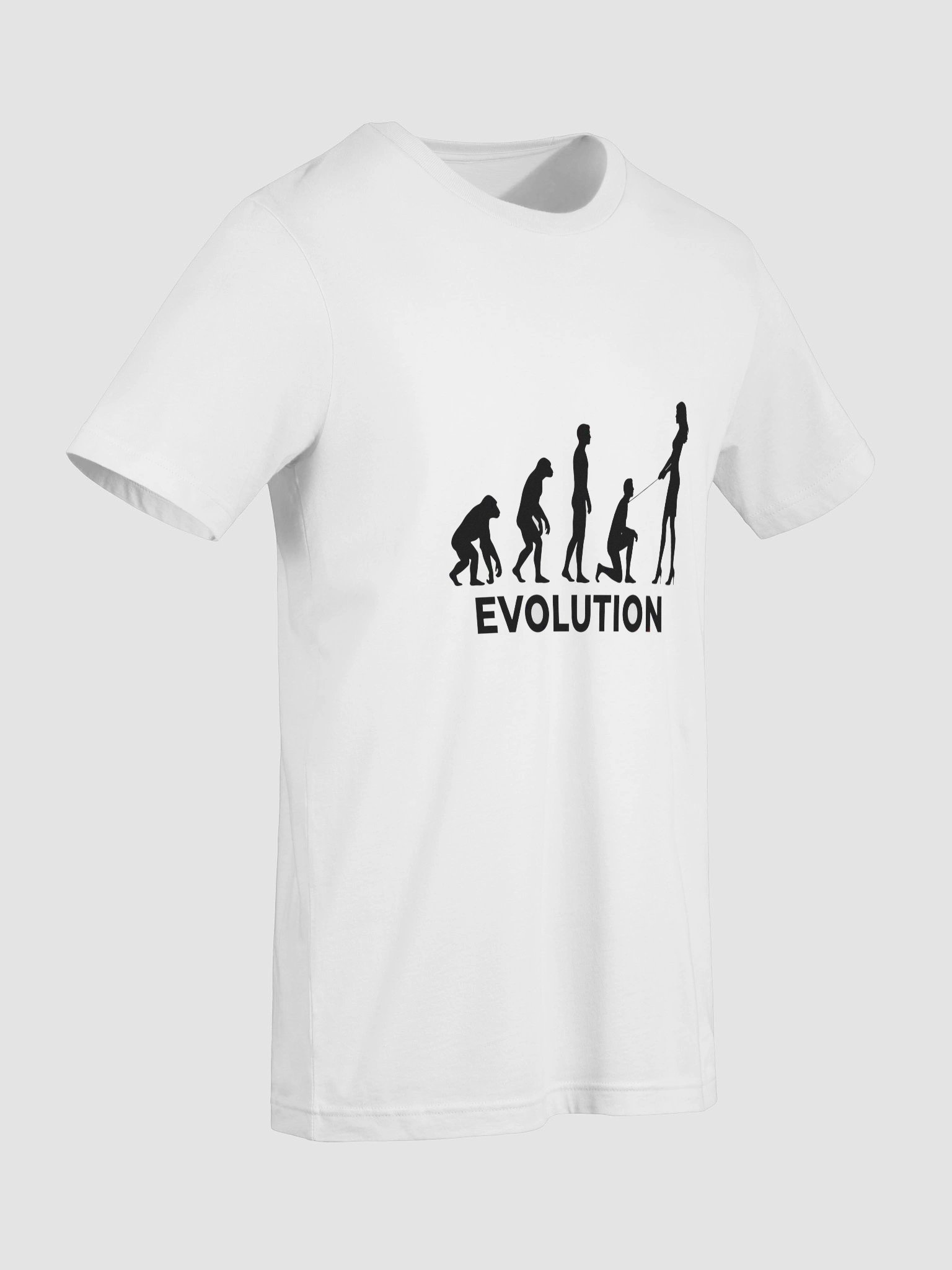 EVOLUTION product image (9)