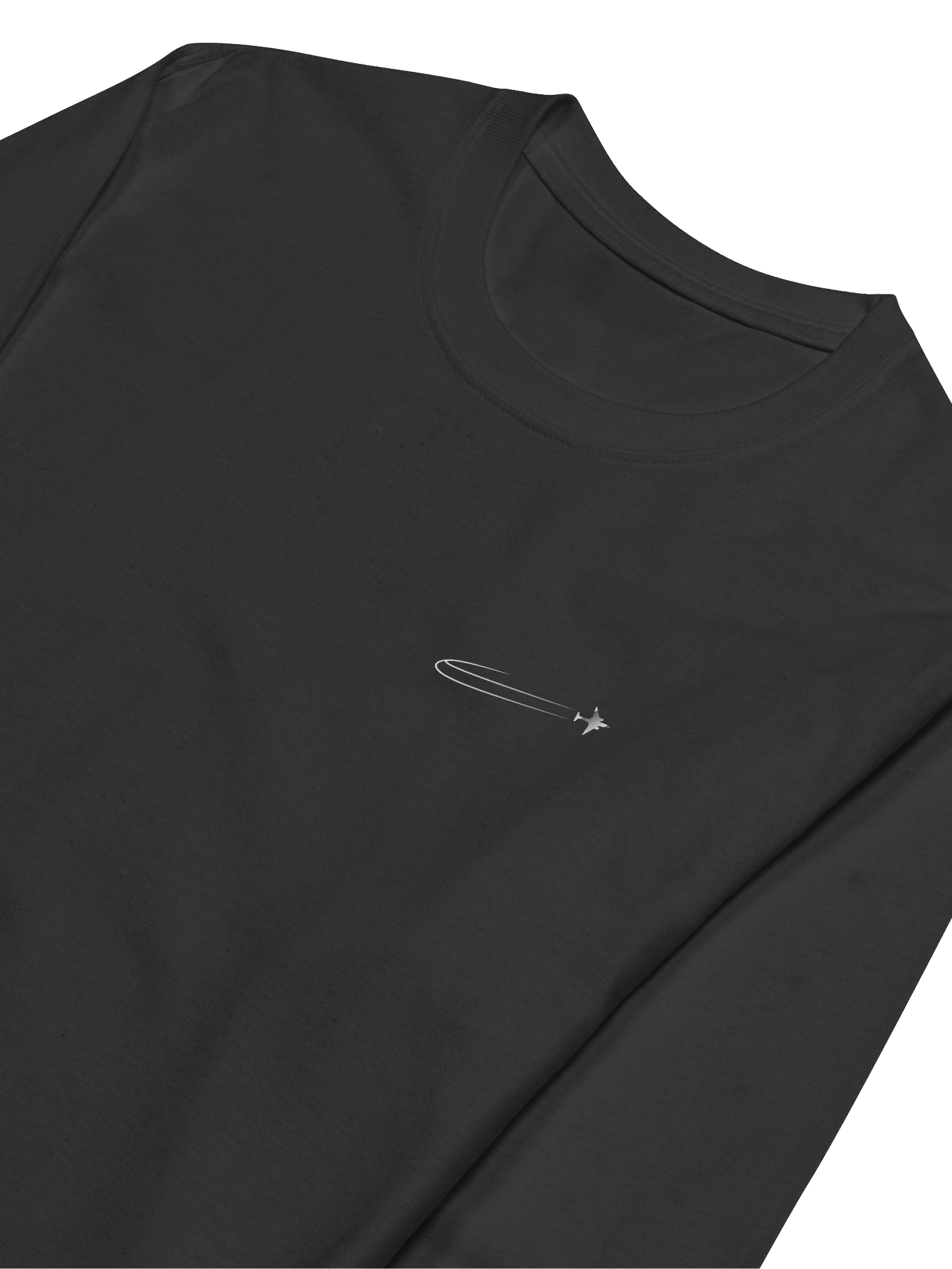 Monochromatic Champion Long Sleeve product image (3)