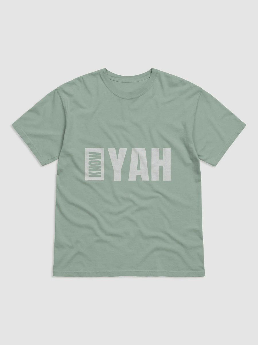 KNOW YAH Vibrant Hue Heavy Tee (F) product image (1)
