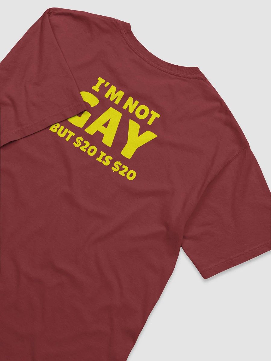 Not Gay But $20 is $20 Back Print Unisex Tee product image (2)