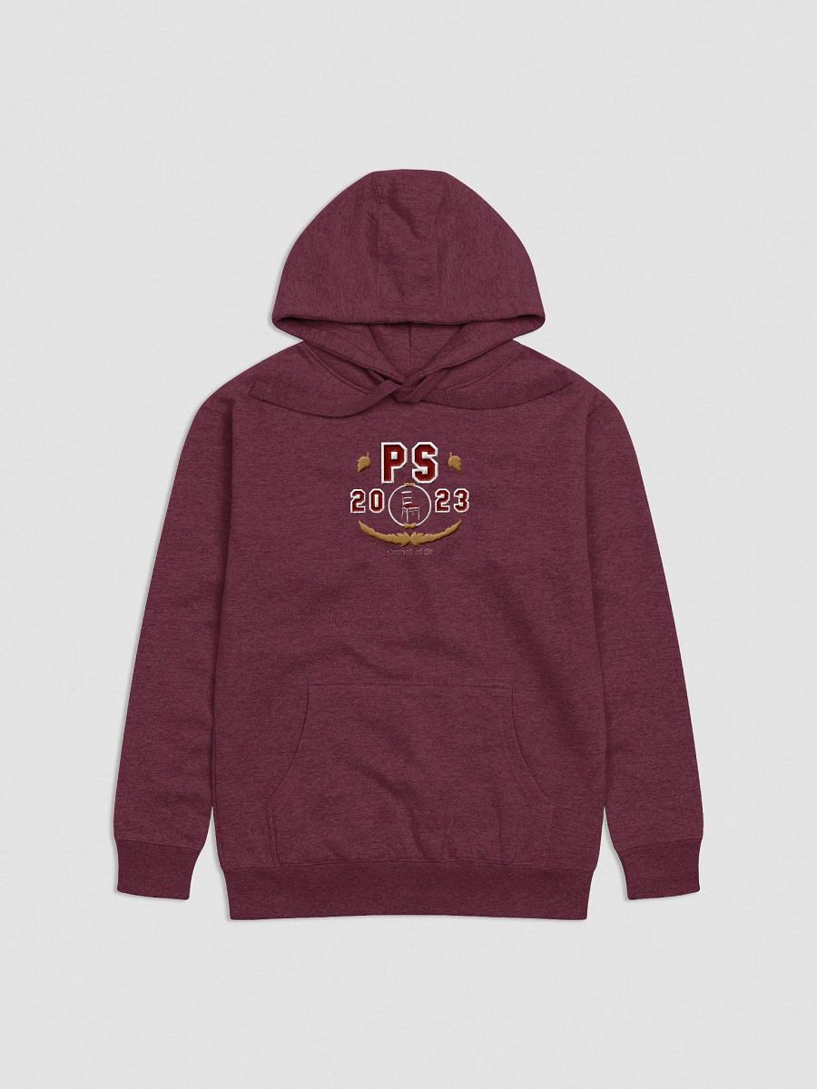 Embroidered Council Hoodie product image (7)