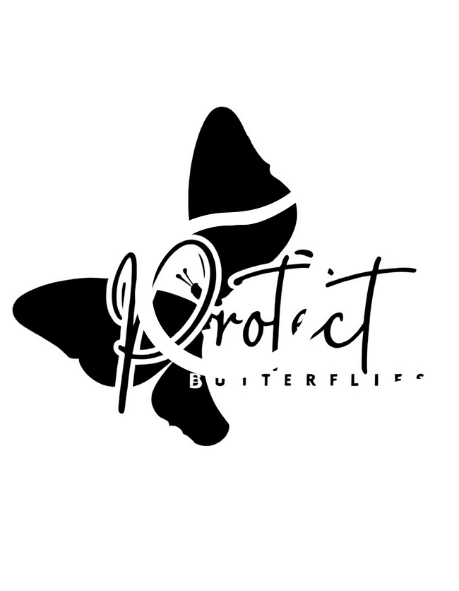 Black Butterfly Collection