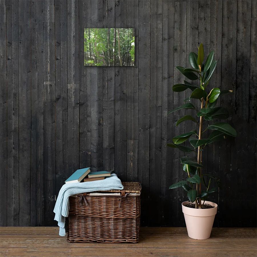 Empire Bluff Forest Canvas product image (3)
