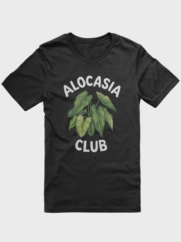 Alocasia Club product image (1)