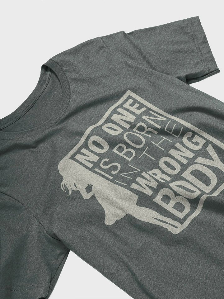 No One is Born in the Wrong Body - Positive Message Bella Canvas Tee product image (16)