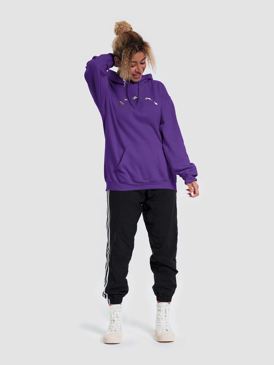 White Rabbit's Curse Hoodie product image (33)