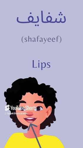 Body parts in Levantine Arabic 🦷👅👄 
Learn more: https://youtu.be/rK1IPSIrO2w?si=iRgLwPXG1mk2aXd2

#arabic #learnarabic #levan...