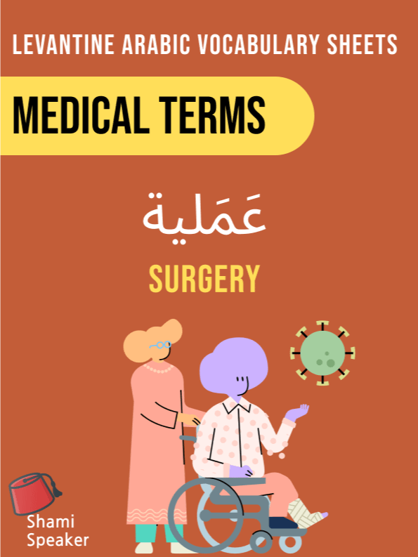 Medical Vocabulary in Levantine Arabic product image (1)