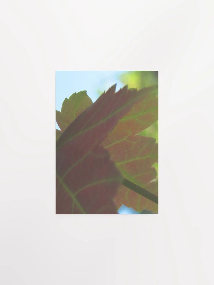 Leaf Close Up product image (1)