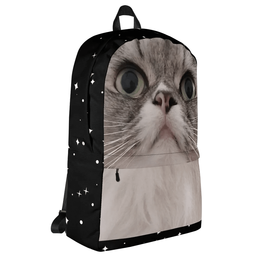 Duman Backpack product image (6)