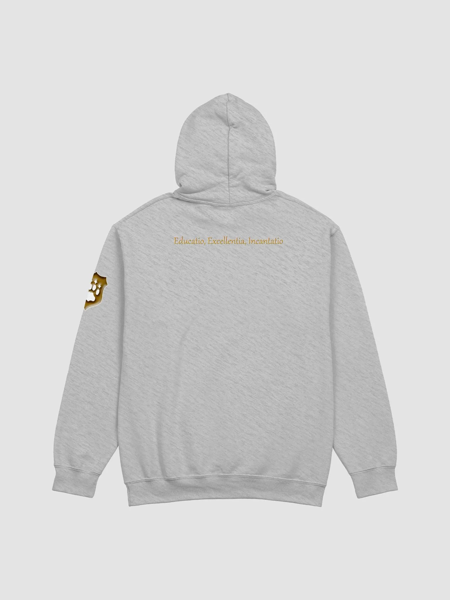 Shifting Sands Academy Hoodie product image (3)
