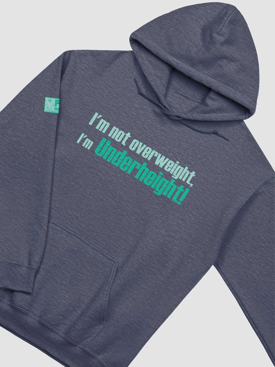 Underheight Hoodie product image (10)