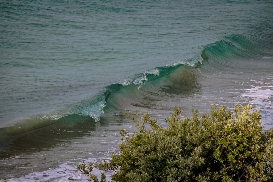 Emerald Wave – Rayol Canadel product image (1)