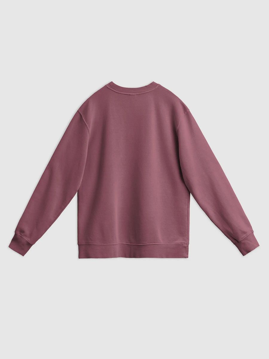 Bubbly and a B*tch (mauve shadow design) printed pigment crewneck product image (12)