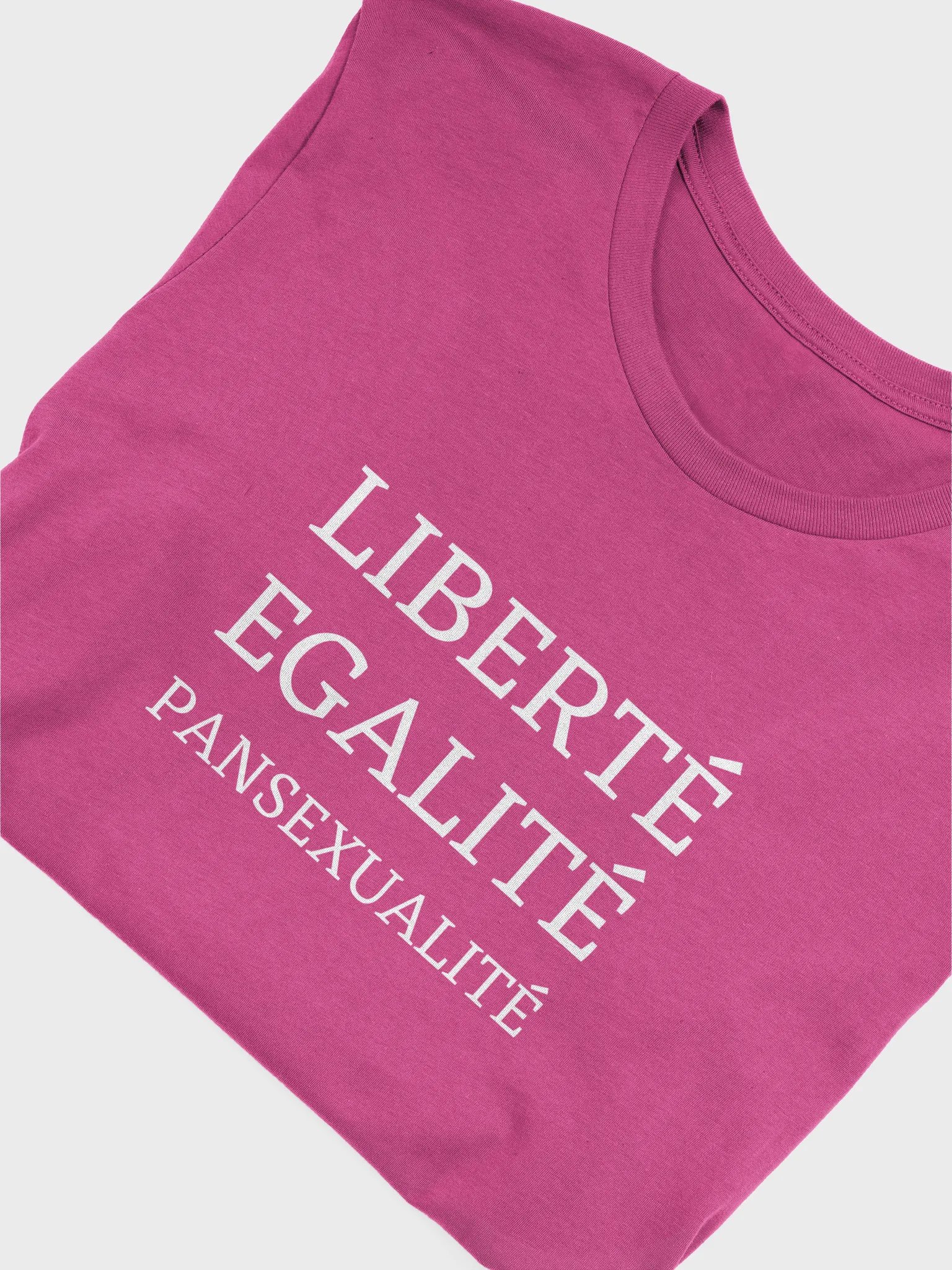 liberte egalite pansexualite t-shirt product image (5)