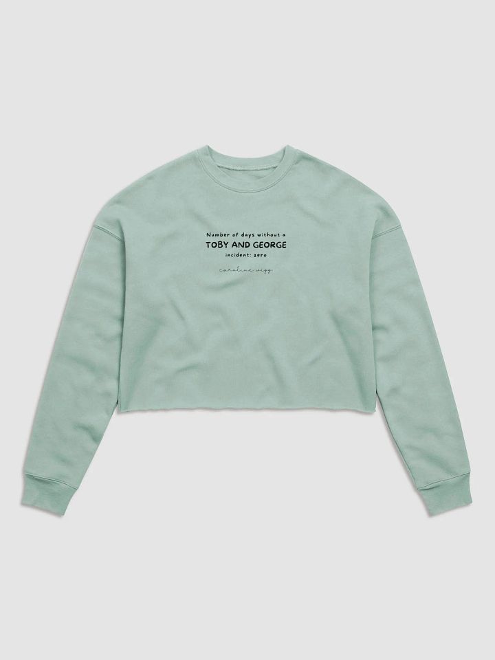 Toby and George Incident Crop Sweatshirt - Light Colours product image (1)