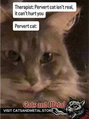 😅😊 A part of the merch sales profit goes to support local stray cats and underground bands, thank you! #catsandmetal #korn #pawrn #catmemes #metalmemes