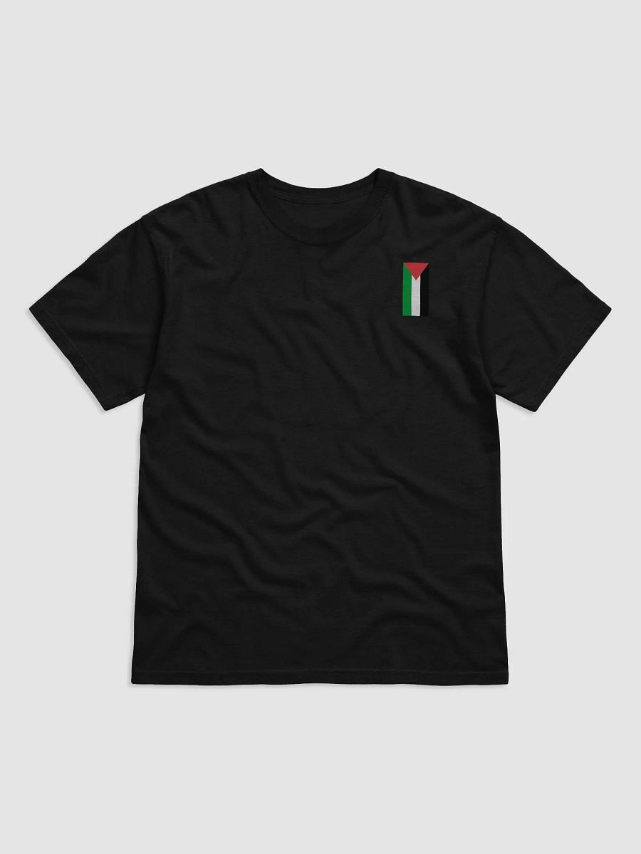 Palestine Flag T-Shirt / Black product image (1)