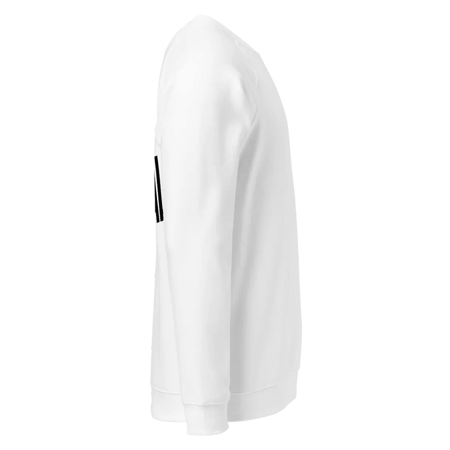 Raglan Long-Sleeve Royale product image (7)