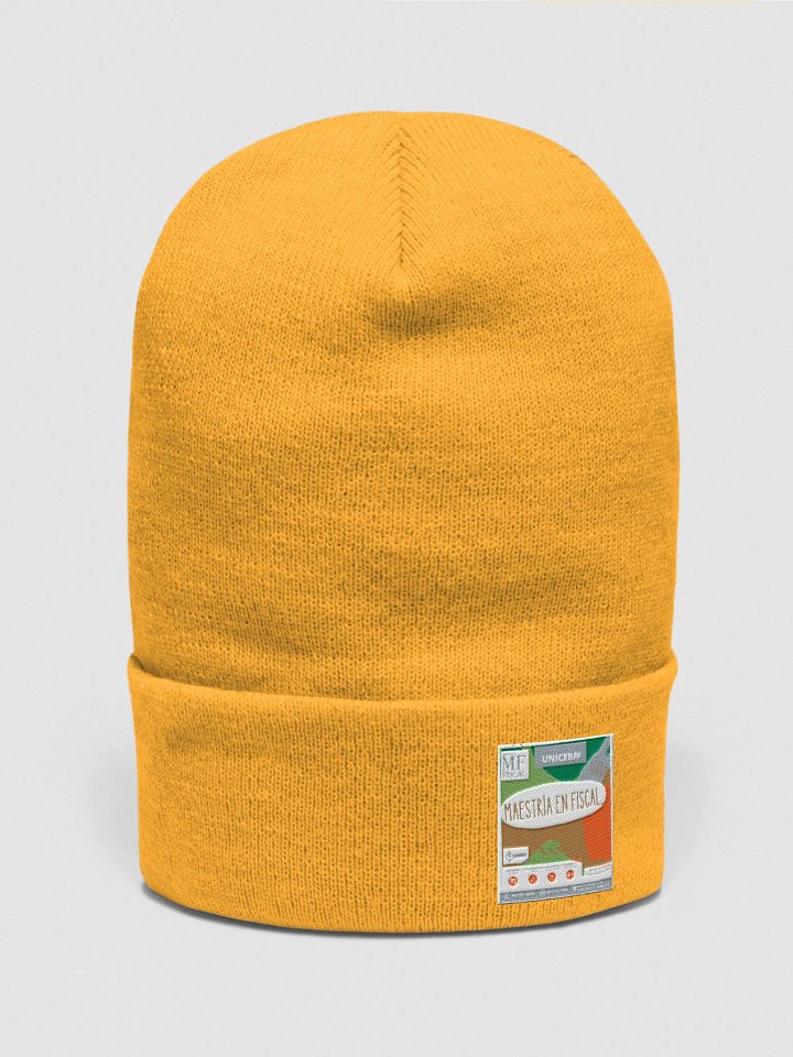 Fiscal-Head5 product image (1)