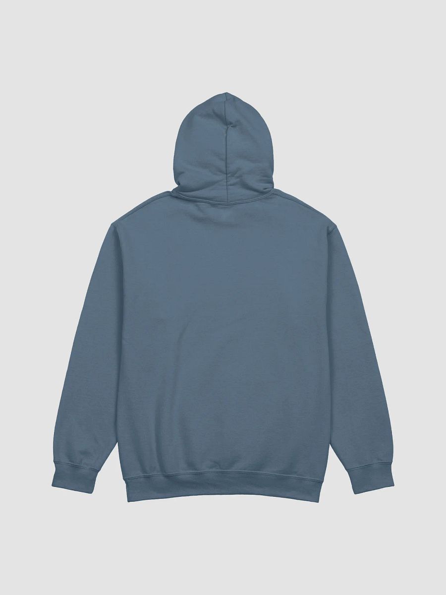 Haven Texas Hoodie product image (2)